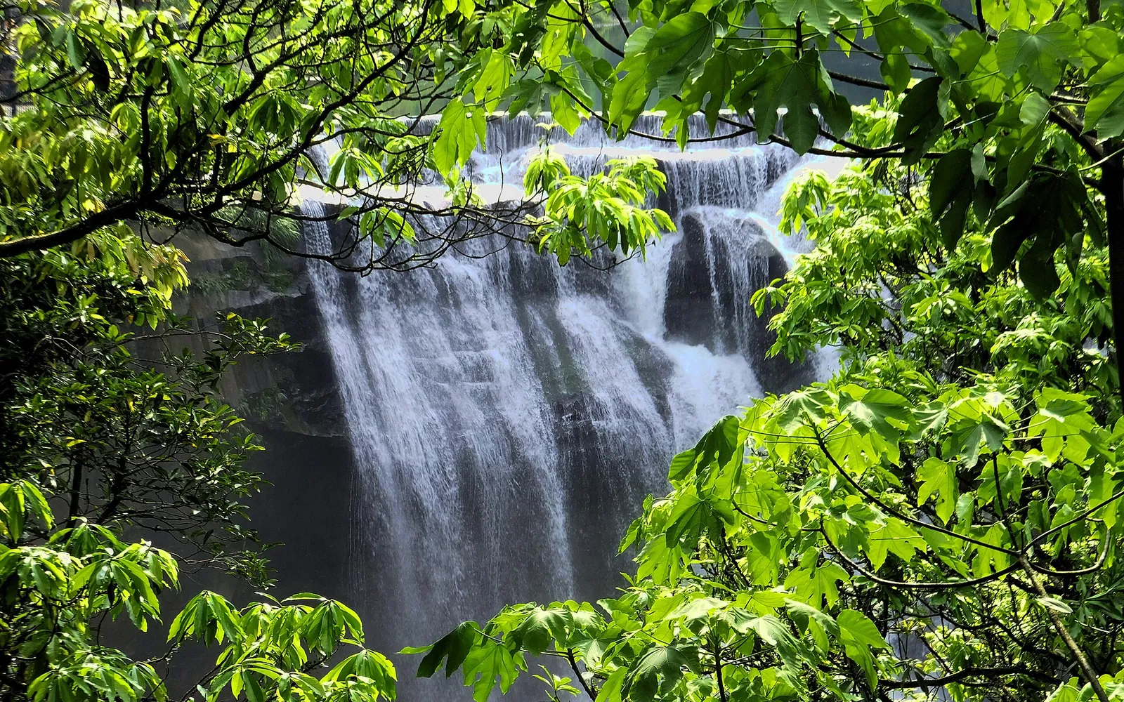 Shifen Waterfall, Jiufen & the Northeast